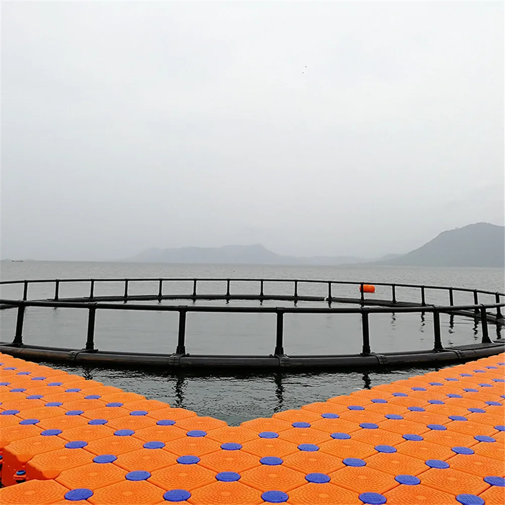 HDPE Floating Tilapia Fish Cages for Lake River Fish Farming Cage in Africa