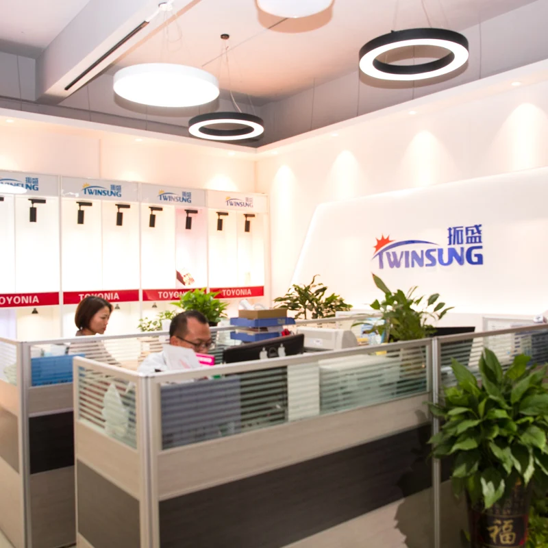 Foshan Twinsung Lighting Co., Ltd. 1