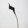 3#  Nuova Alocasia in gomma morbida (viola scuro)