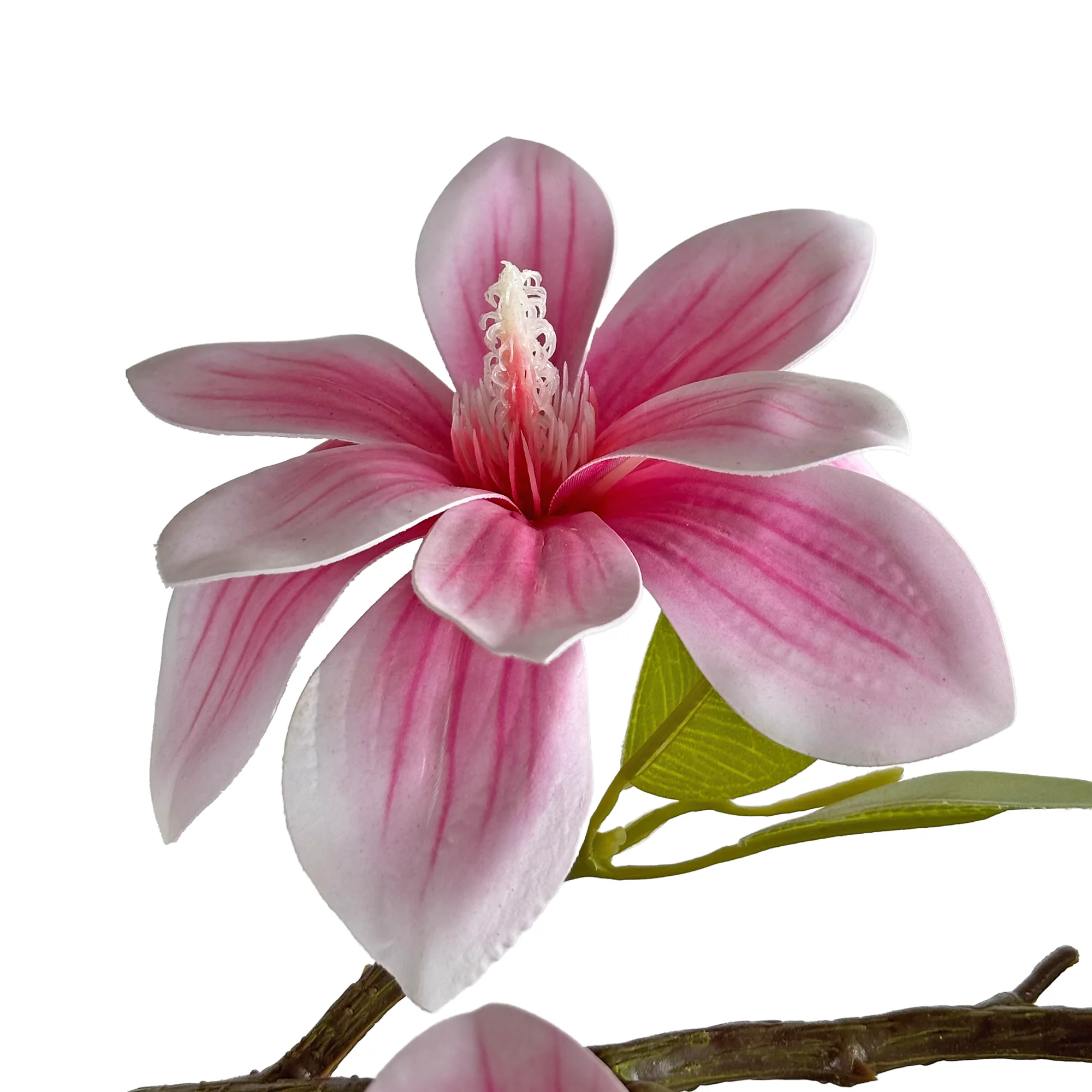 细节图1