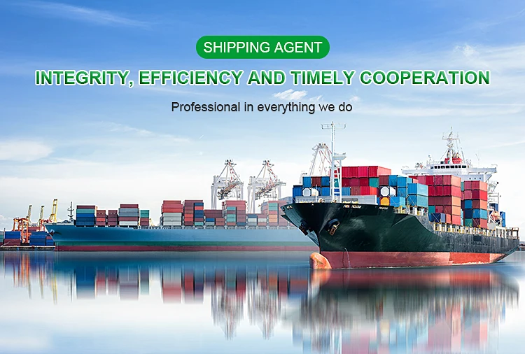 20ft 40ft Container Sea Freight Forwarder From China To Uae Dubai Abu