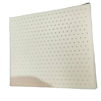 Custom made white and transparent PE PP perforated plastic sheets with holes punching plate