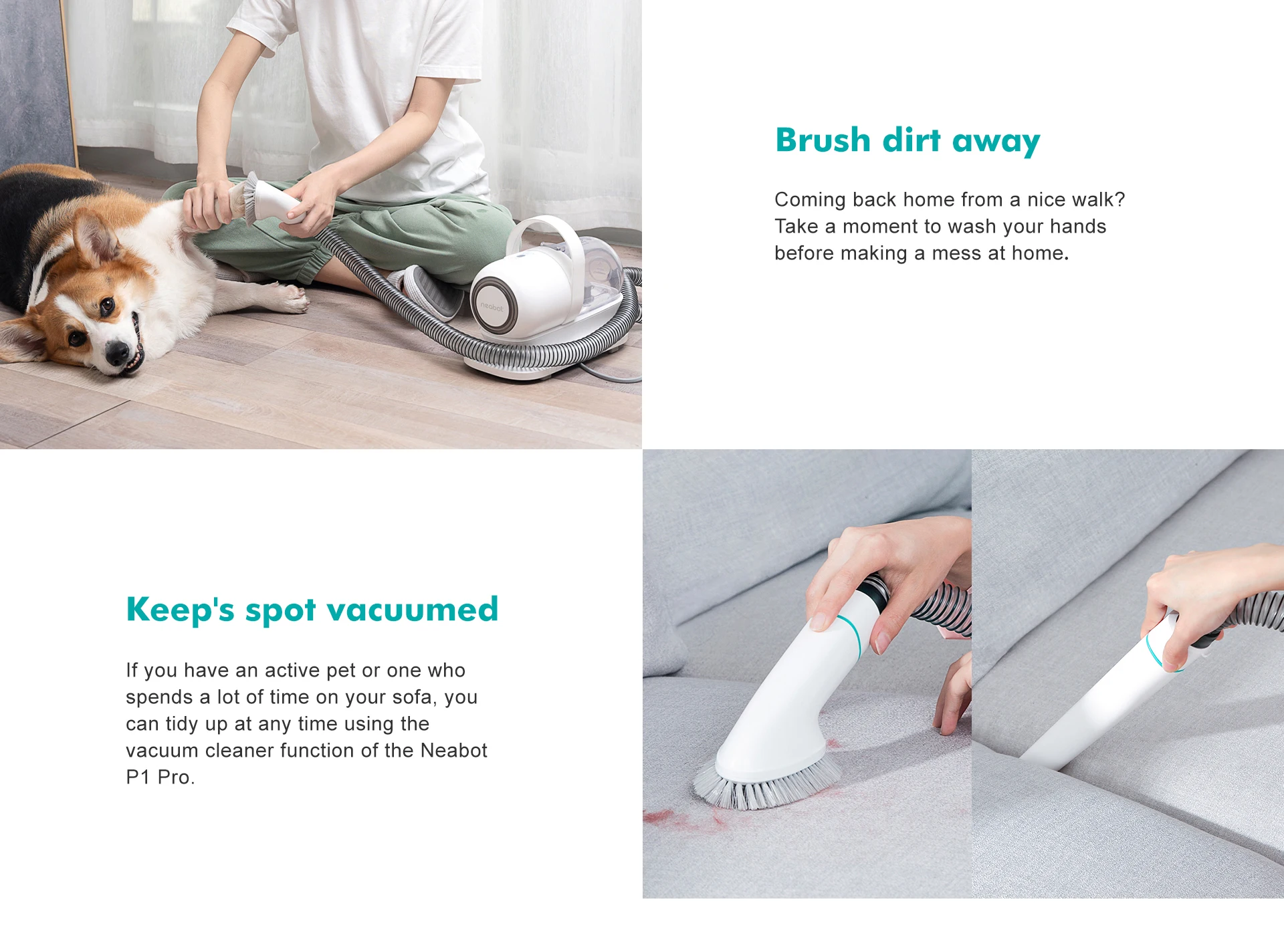 Vacuum Cleaner For Cats and Dogs