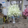 SPR-MM2436-32