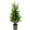 Mini cyprès vert avec pot en plastique