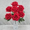 Rosso brillante