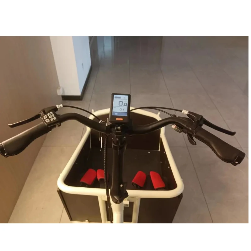 Long John Cargo E Bike Two Wheel Electric Vehicle Electric Bike Cargo