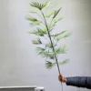 135cm Golden Mountain Palm - 25 leaves