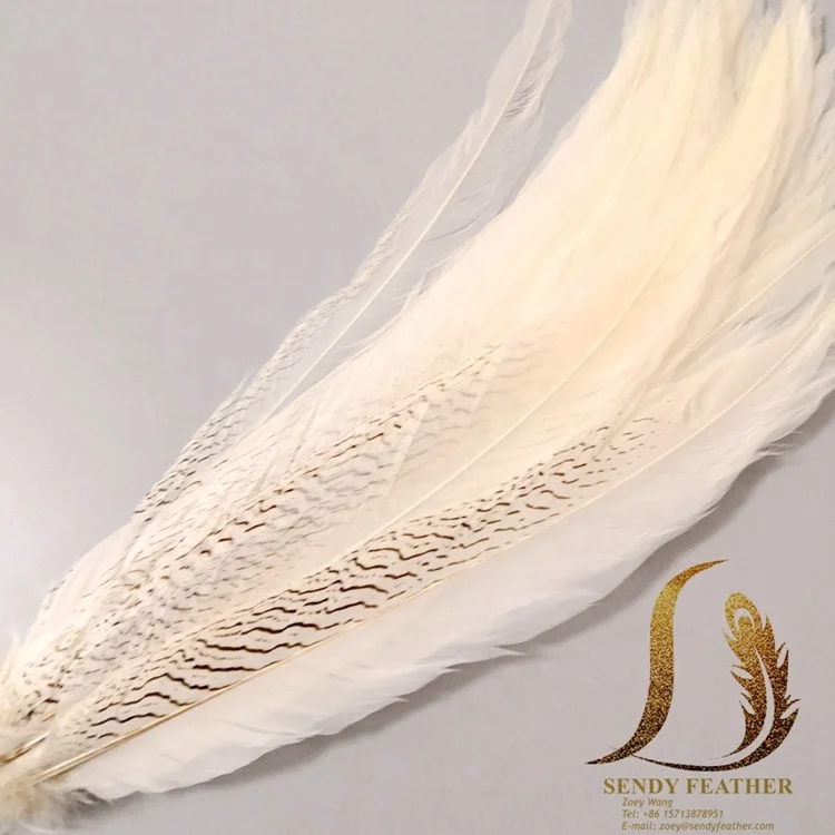 Ringneck Pheasant Feathers 16-18 inches - Purchase Pheasant Feathers