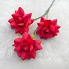 Amante sin hojas rosa roja