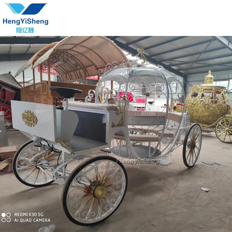 プリンセス/中古バッテリー制御ホースワゴン/キャノピー付き