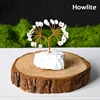 Howlita