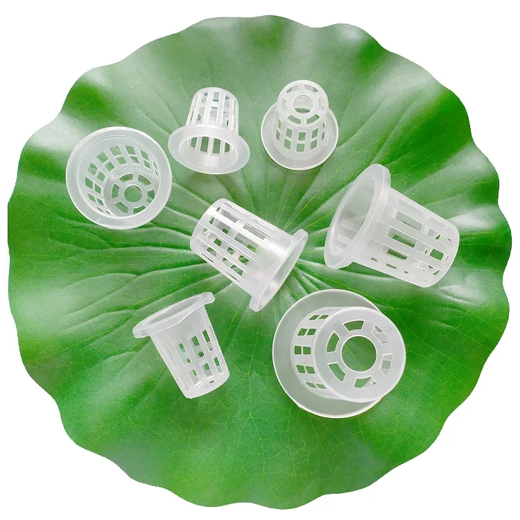 Set 30 Vasi Idroponici Con 100 Etichette - Per Coltivazione Senza Terra Set 30 Vasi Idroponici Con 100 Etichette - Per Coltivazione Senza Terra