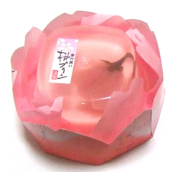 Japan premium delicate delicacy fruit jelly pudding sweets for sale