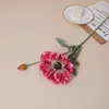 Rose red