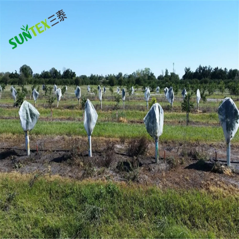 Groeiende Citrus Bescherming Boom Cover Tassen, Wit Hdep Fijne