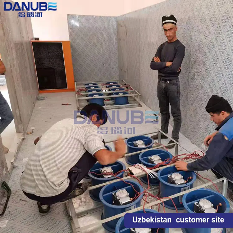 Drying Machine for Garlic Ginger Garlic Slice Dryer Machine Ginger Slice Dryer Machine