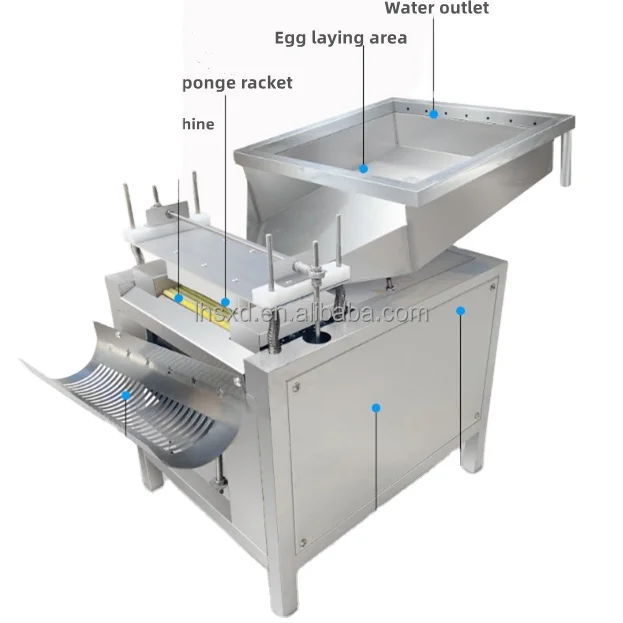 Automatic Quail Egg Sheller - Efficient & Reliable Machine