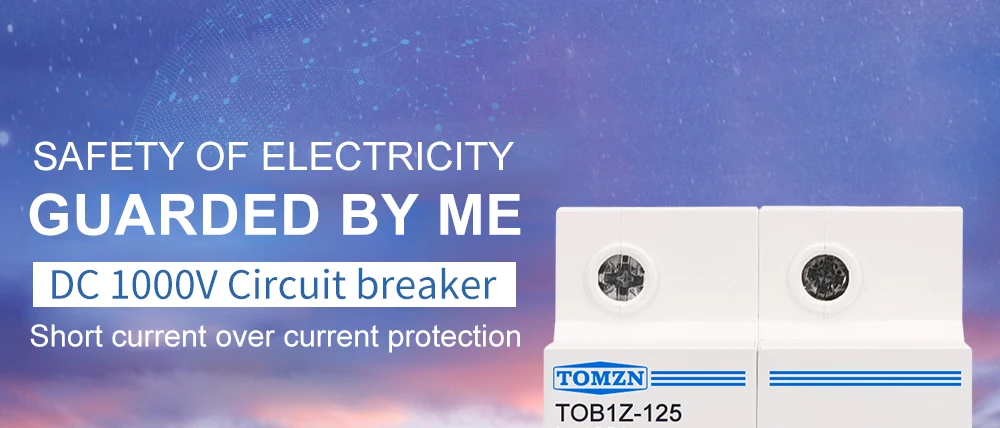 TOMZN 2P DC 1000V MCB 125A 100A 80A Circuit Breaker for PV System C Curve Battery Main Switch