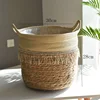 Rice white tassel mouth 30cm
