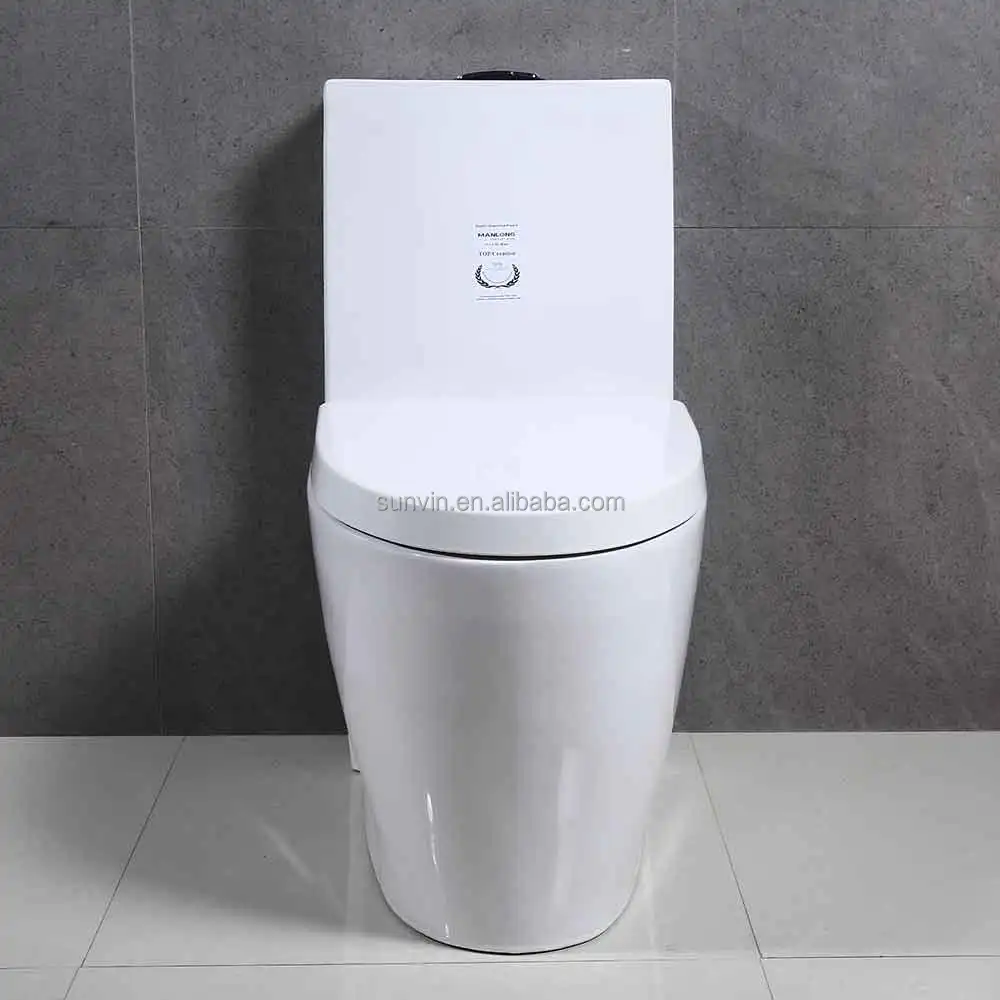China bathroom washdown toilet sanitary ware one  piece toilet