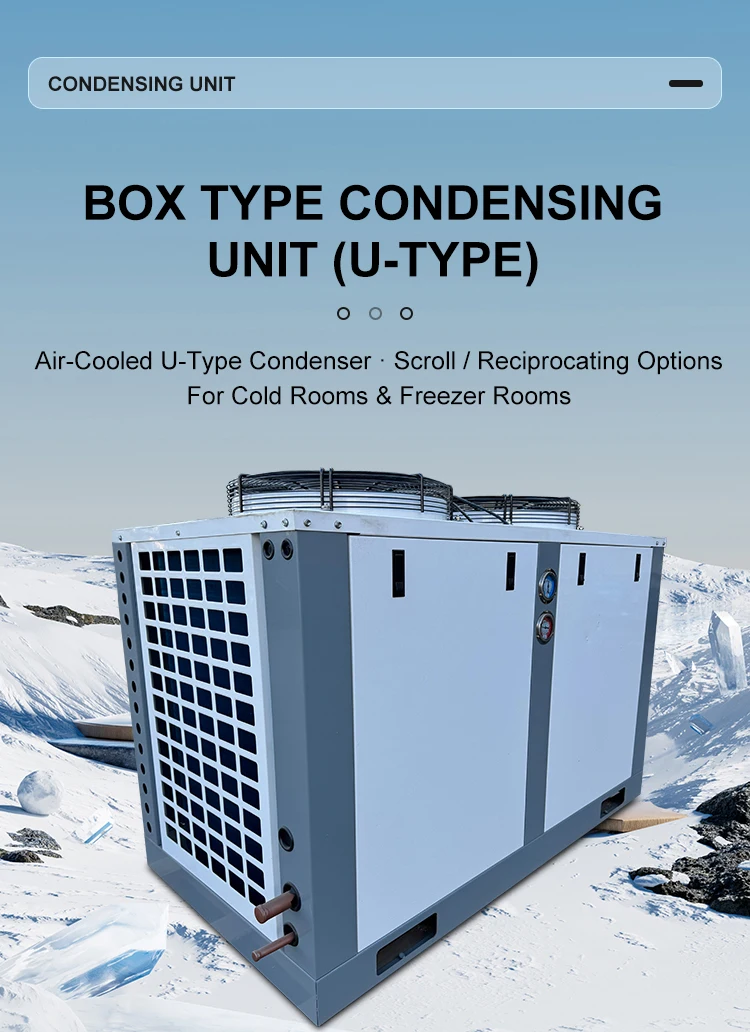 Condensing Unit, 380 V, R-404A - detail 2