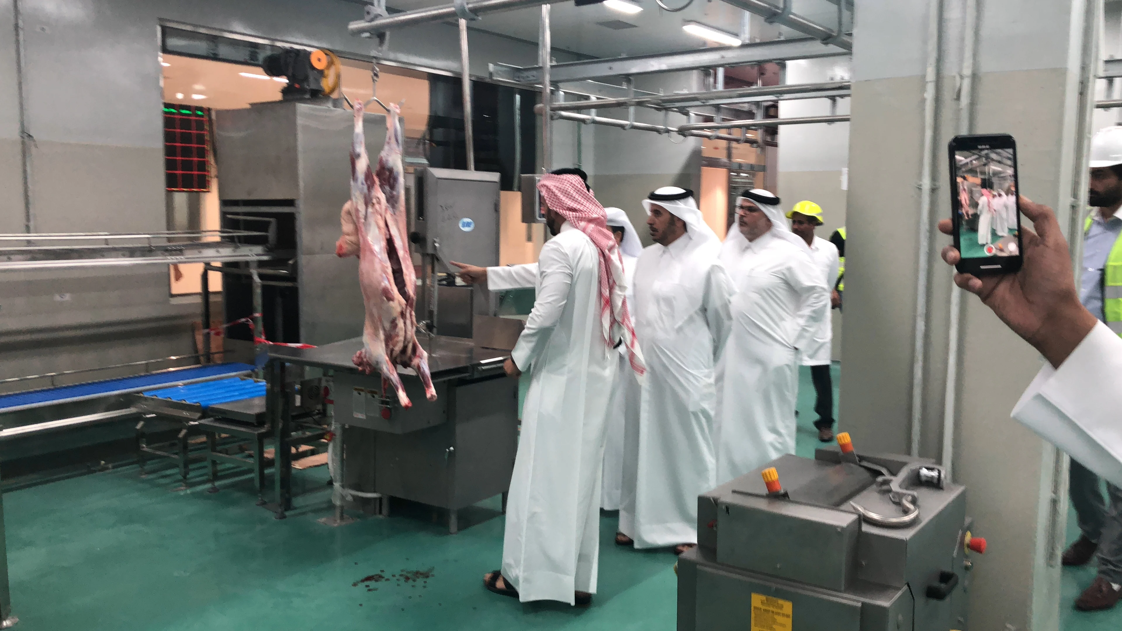 Efficient goat slaughtering production line with dehiding machine and working platform