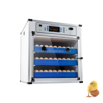 Mini incubateur d'œufs, incubateur de canards, couveuse d'œufs