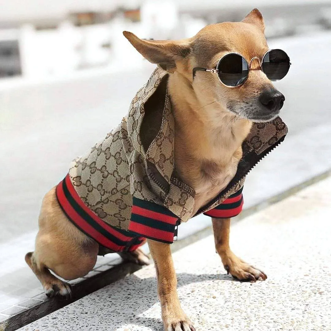 Luxury Dog Clothing Brands
 High end Luxury Fashionable Small Pet Coat Dogs Clothes Brands