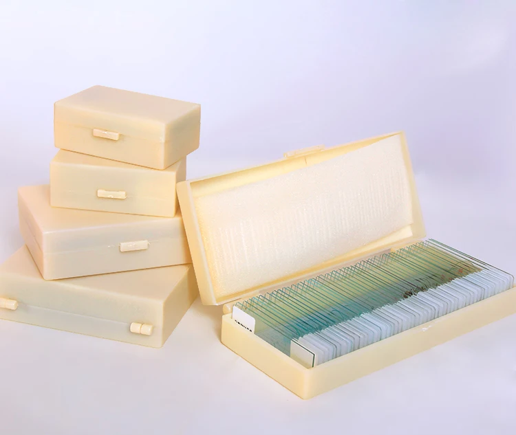 Medical Teaching Research Algae Botany 10pcs Pre Prepared Microscope Slides