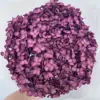dark plum hydrangeas