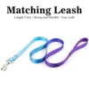 Blue leash