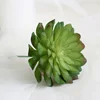 Loto di giada speciale (verde)