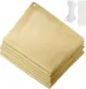 Cream-Colored