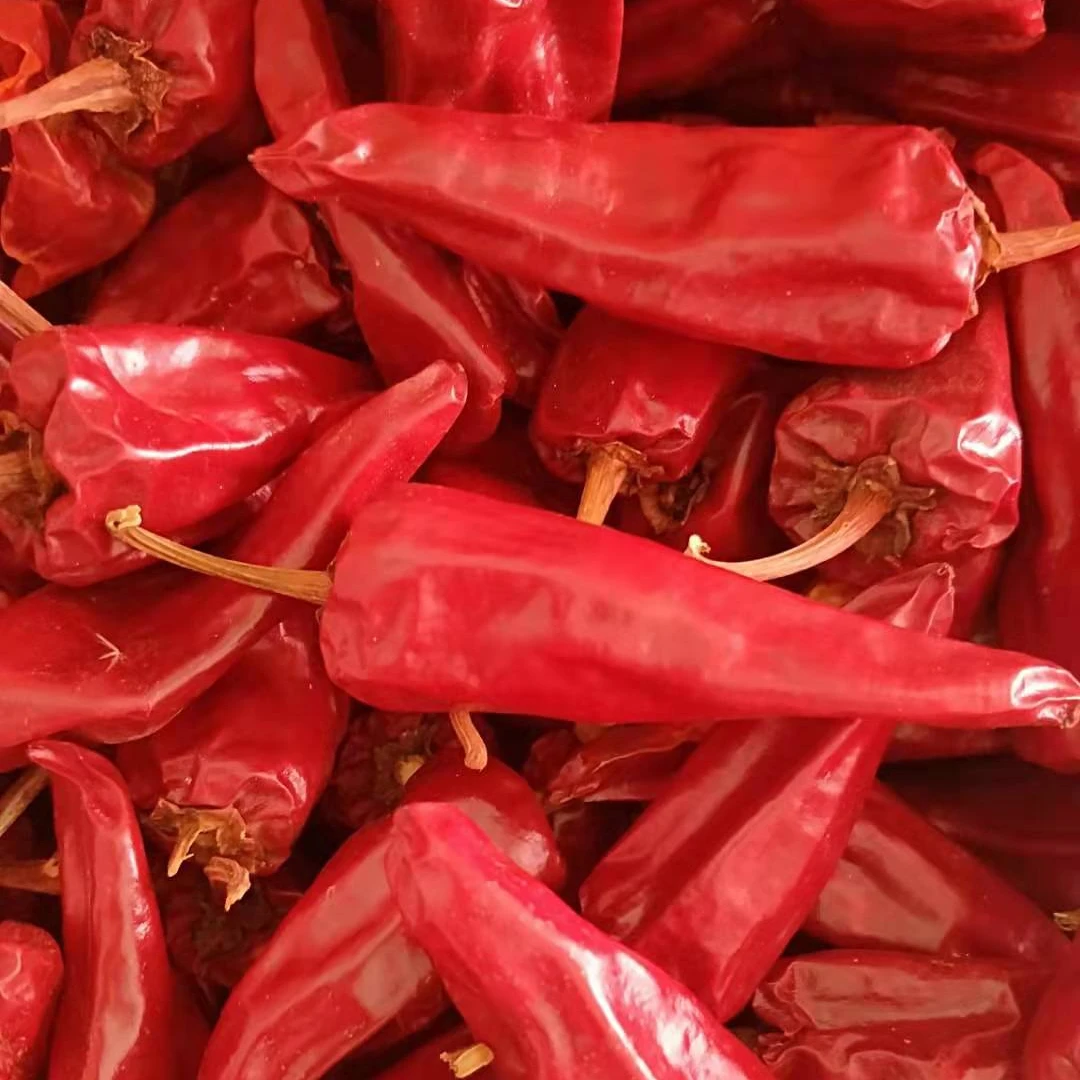 2020 new crop yidu red chili dry red chili for sale beijing red chili