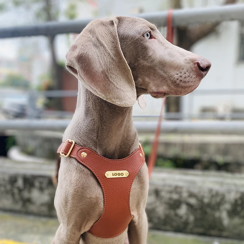 Personalized Luxury Dog Harness and Leash Set Waterproof Leather - Main Image