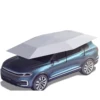 4,2 M Semiautomático Gris Plateado