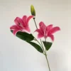 สีชมพูสด