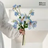 Blue bauhinia-small pear blossom-white phoenix tail orchid