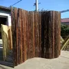 2 meters high by 2 meters wide (carbonized).