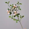 Island spring flower twigs - white powder