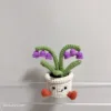 Purple lily