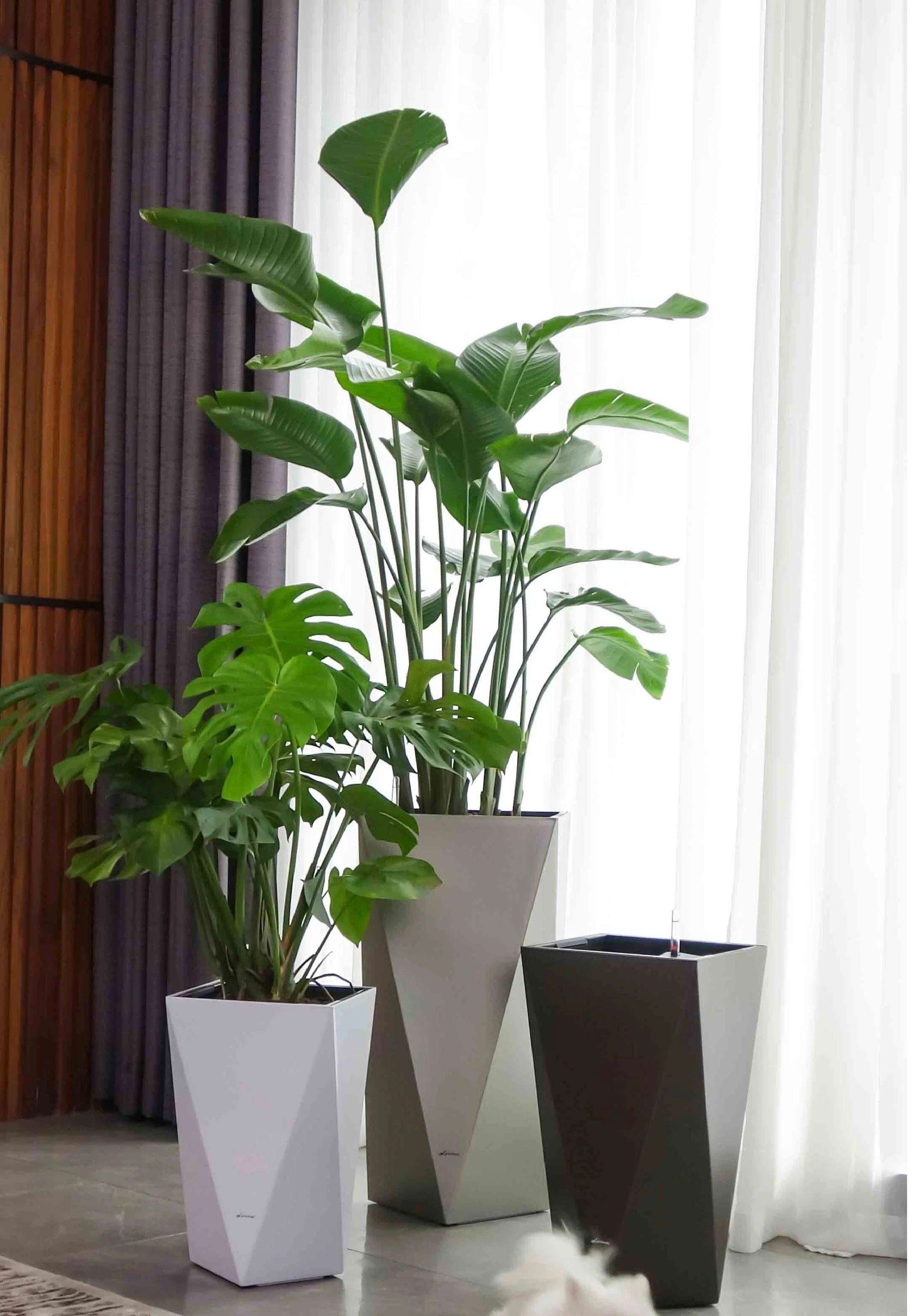 Large Indoor Outdoor Self-Watering Planters - Perfect for Hotels