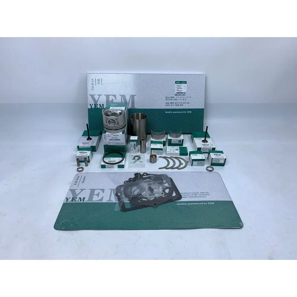 EA300 Rebuild Overhaul Repair Kit With Valves Engine Bearings Cylinder Liner Piston Rings Full Gasket Kit for Kubota