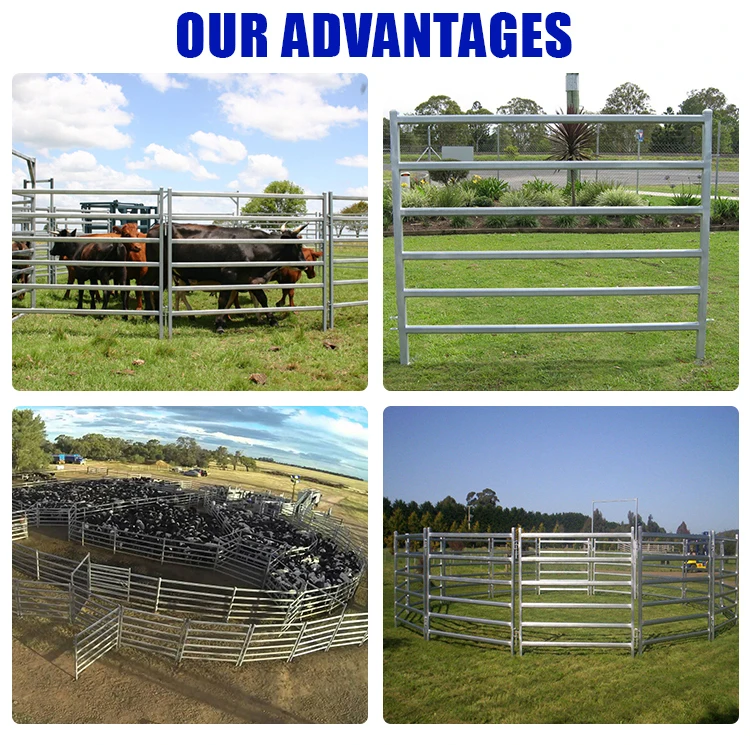 High Quality Cheap Field Yard Used Cattle Panels For Sale Corral Panels ...