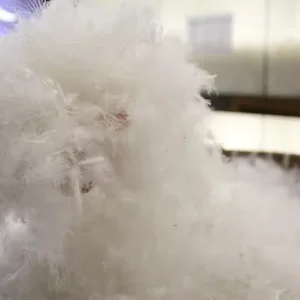 Natural White Goose American Standard White Duck Down High Quality Cheap Washed Goose Feathers for Pillow Quilts Jackets