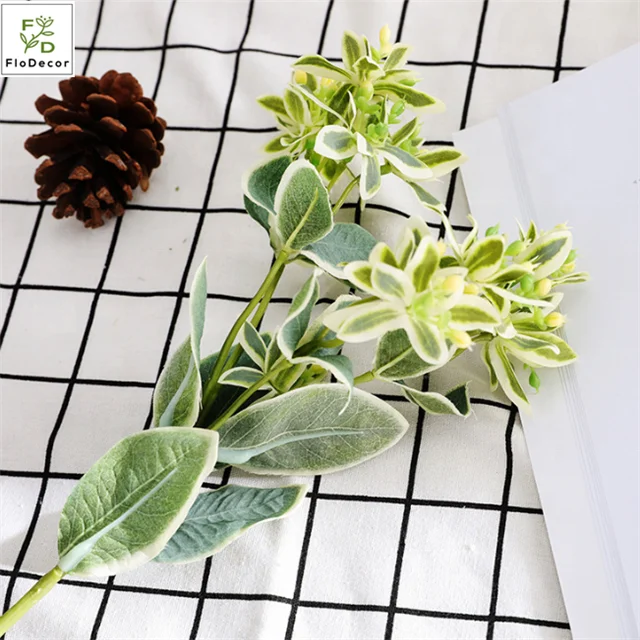 winter jasmine plant *RETAIL main image 0