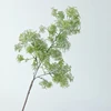 Verde chiaro