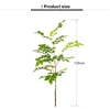 120cm-verde