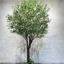 Olive Tree With Full Olive Fruit Real Factory Artificial Olive Tree Landscaping Centerpiece Garden Decor